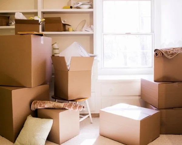 Mailer Box Sizes: Choosing the Right Dimensions for Shipping